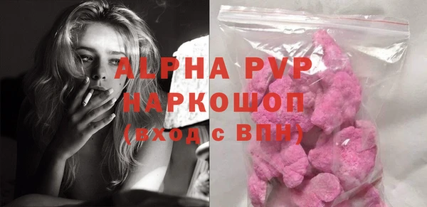 шишки Покачи