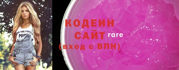 шишки Покачи