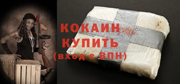 шишки Покачи