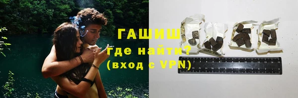 шишки Покачи