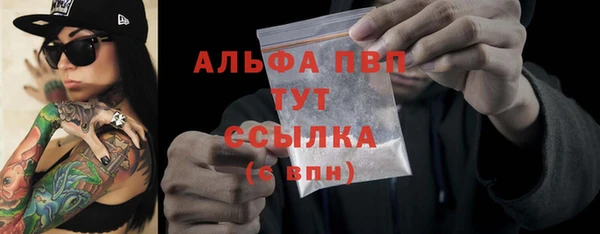 шишки Покачи