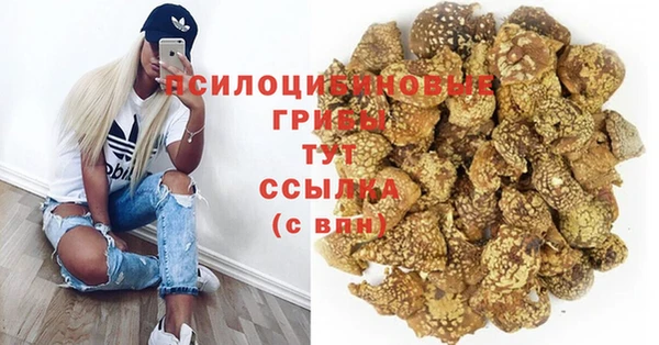 шишки Покачи
