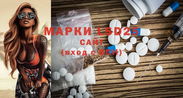 шишки Покачи