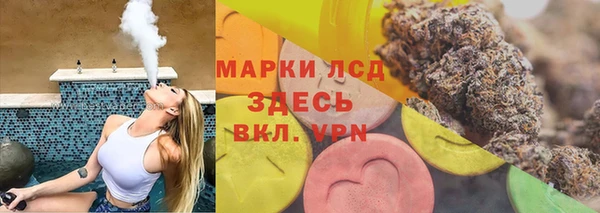 шишки Покачи