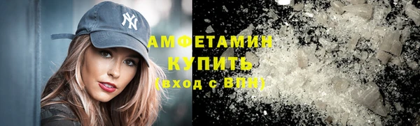 шишки Покачи