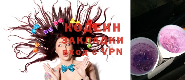 шишки Покачи