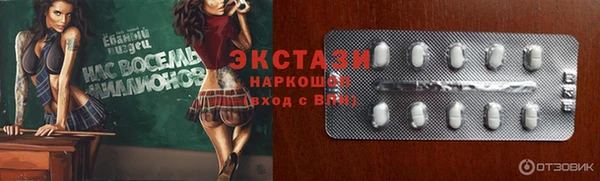 шишки Покачи