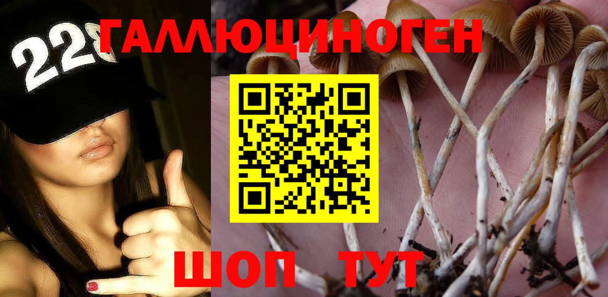Советский  Галлюциногенные грибы GOLDEN TEACHER  Вход с VPN 